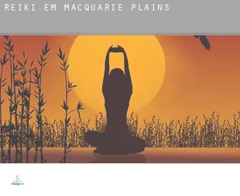 Reiki em  Macquarie Plains