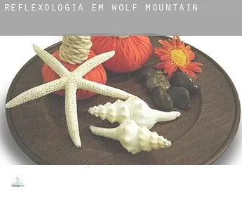 Reflexologia em  Wolf Mountain