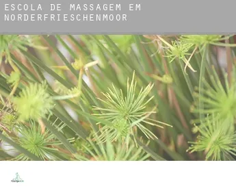 Escola de massagem em  Norderfrieschenmoor