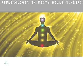 Reflexologia em  Misty Hills Numbers 1-7
