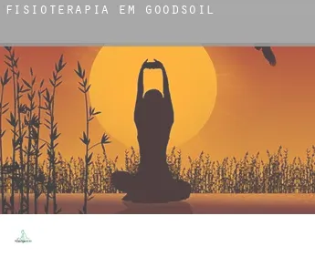 Fisioterapia em  Goodsoil