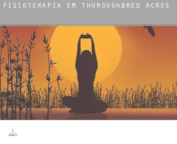 Fisioterapia em  Thoroughbred Acres