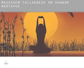 Massagem tailandesa em  Shanor-Northvue