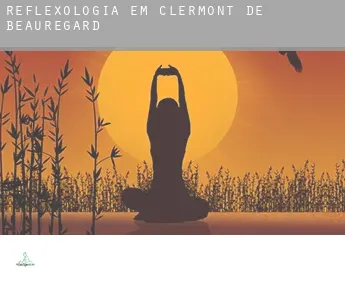 Reflexologia em  Clermont-de-Beauregard