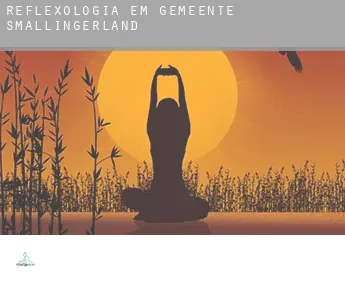 Reflexologia em  Gemeente Smallingerland