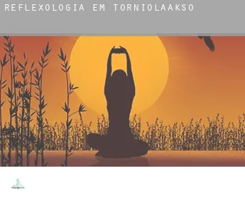 Reflexologia em  Torniolaakso