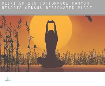 Reiki em  Big Cottonwood Canyon Resorts