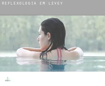 Reflexologia em  Levey