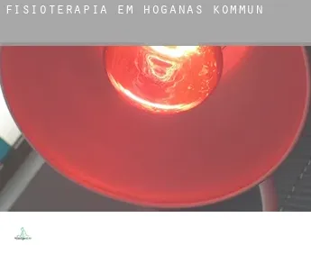 Fisioterapia em  Höganäs Kommun