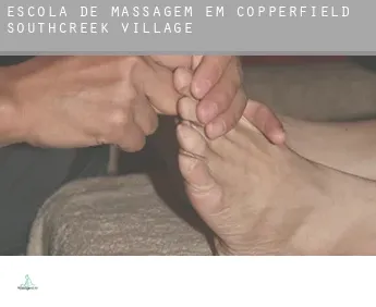 Escola de massagem em  Copperfield Southcreek Village