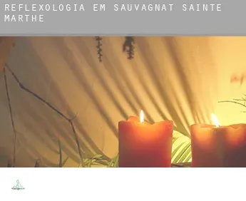 Reflexologia em  Sauvagnat-Sainte-Marthe