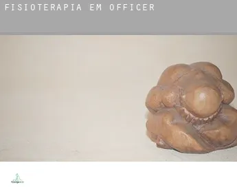 Fisioterapia em  Officer