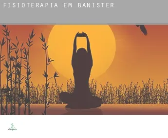 Fisioterapia em  Banister