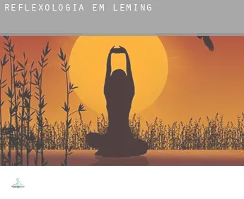 Reflexologia em  Leming