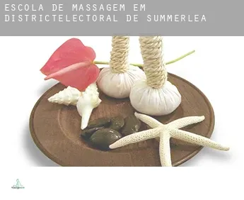 Escola de massagem em  Districtélectoral de Summerlea