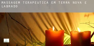 Massagem terapêutica em Terra Nova e Labrador