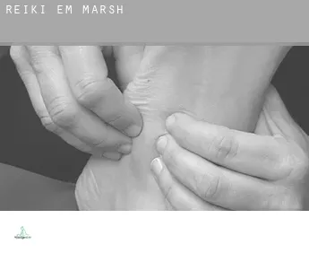 Reiki em  Marsh