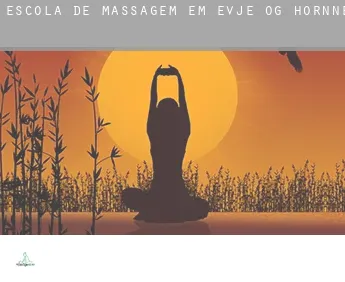 Escola de massagem em  Evje og Hornnes