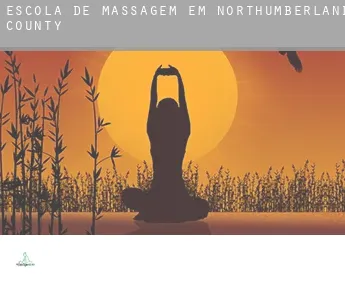 Escola de massagem em  Northumberland County
