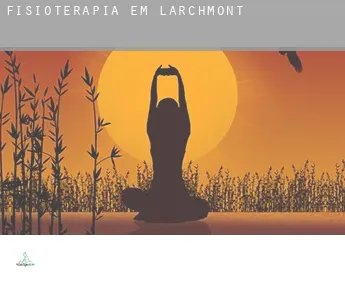 Fisioterapia em  Larchmont