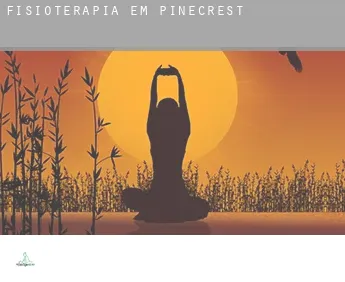 Fisioterapia em  Pinecrest