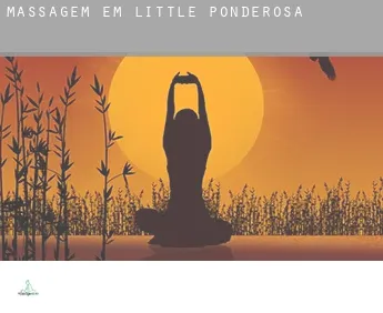Massagem em  Little Ponderosa