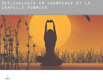 Reflexologia em  Champeaux-et-la-Chapelle-Pommier