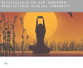 Reflexologia em  Gem Suburban Manufactured Housing Community