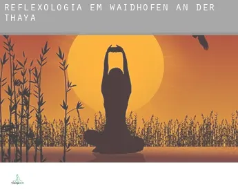 Reflexologia em  Waidhofen an der Thaya