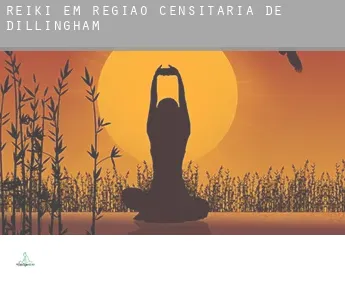 Reiki em  Região Censitária de Dillingham